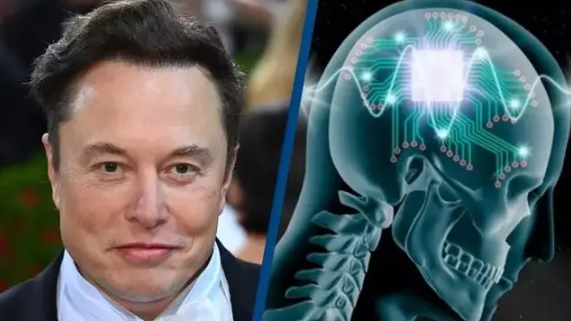 马斯克脑机接口试验2023年启动 首例人体植入将兑现